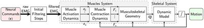 InverseMuscleNET: Alternative Machine Learning Solution to Static Optimization and Inverse Muscle Modeling